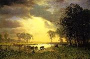 Albert Bierstadt The_Buffalo_Trail Spain oil painting artist